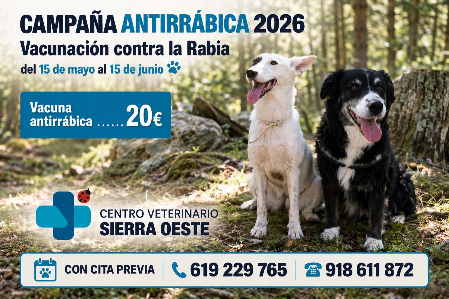 Ventana Emergente